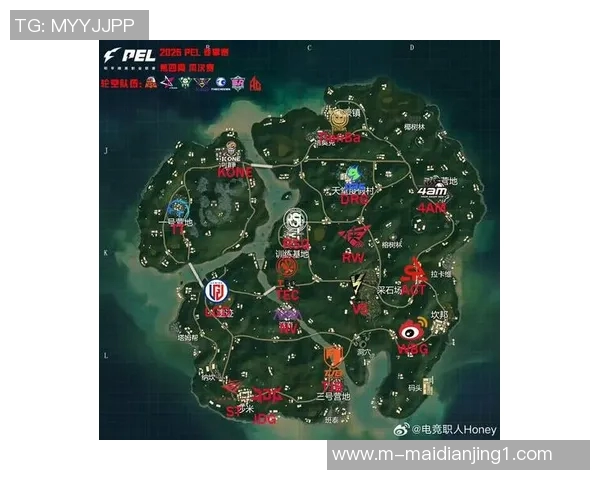 探秘JDG在和平精英总决赛中的极速表现与战术策略解析