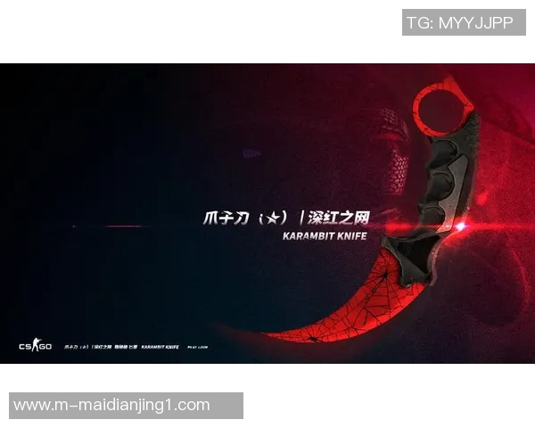 电竞实时数据杨芳专访回顾CSGO发展历程与未来展望