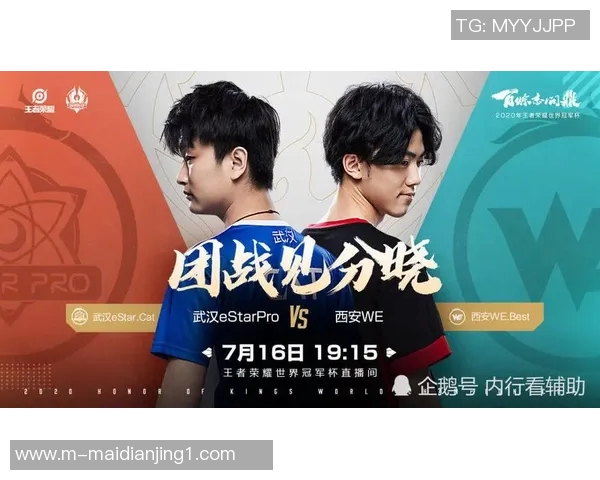 王者荣耀评论WE战队反击策略的得失分析与未来展望