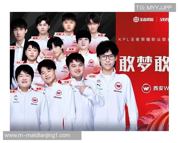 王者荣耀耐力排行榜揭晓WE战队荣登第十名引发热议